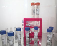 引進美國生物工程前沿技術，打造高科技生物制品研發新生態