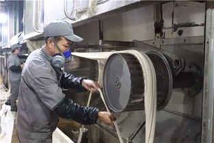 創新驅動，綠色賦能——阿拉爾中泰紡織科技公司毛型纖維新產品成功下線